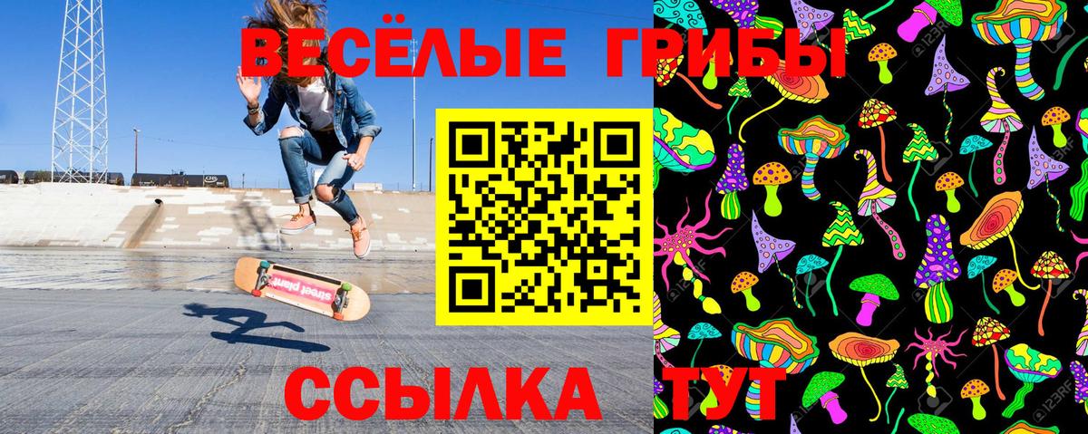 Галлюциногенные грибы мицелий Ялта
